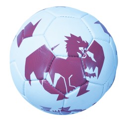 Ballon Fc Metz Graoully